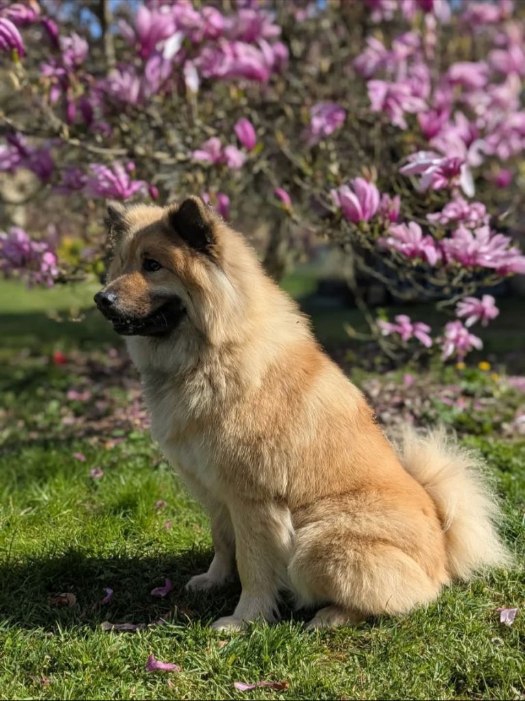 Tika (Sans Affixe)